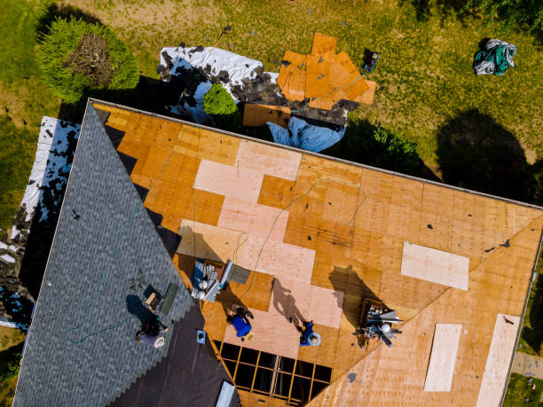 Best Storm Damage Roof Repair  in Rankin, TX